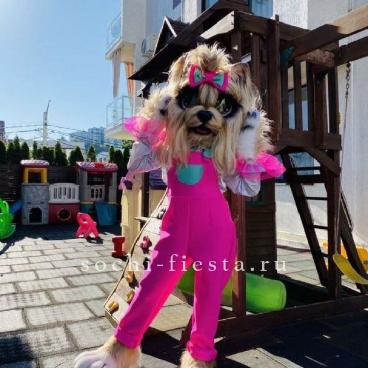 Аниматор Гламурная Собака в Новокузнецке