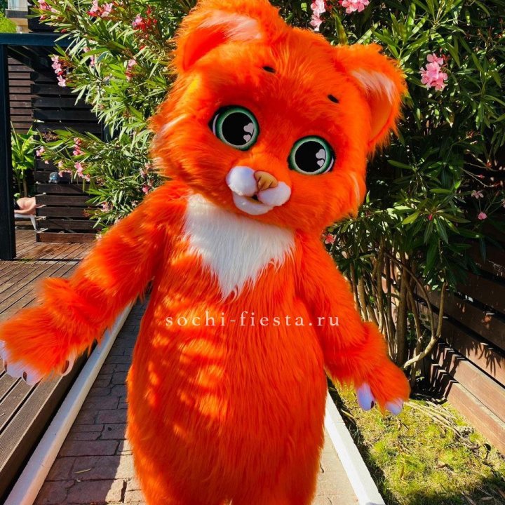 Аниматор Котик в Новокузнецке