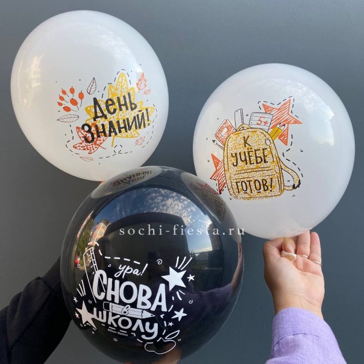 Воздушный шар к 1 сентября в Новокузнецке