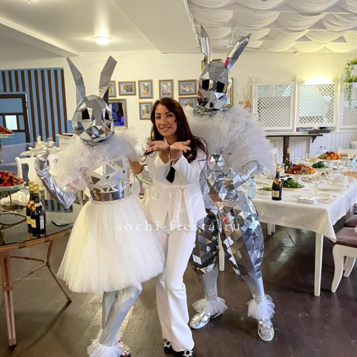 Аниматор Зеркальный заяц в Новокузнецке