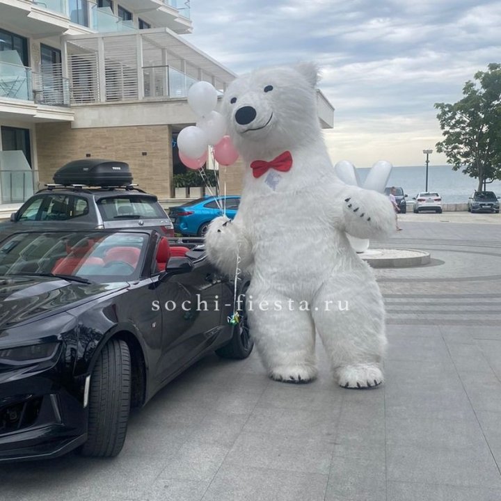 Аниматор Белый Медведь в Новокузнецке