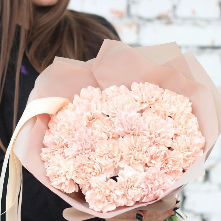 Диантусы №2 в Новокузнецке