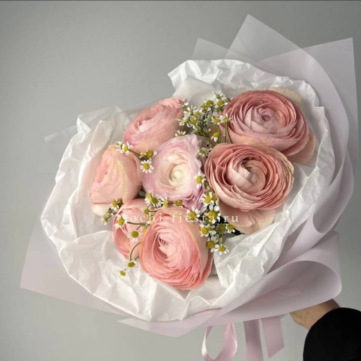 Ранункулюсы с ромашками в Новокузнецке