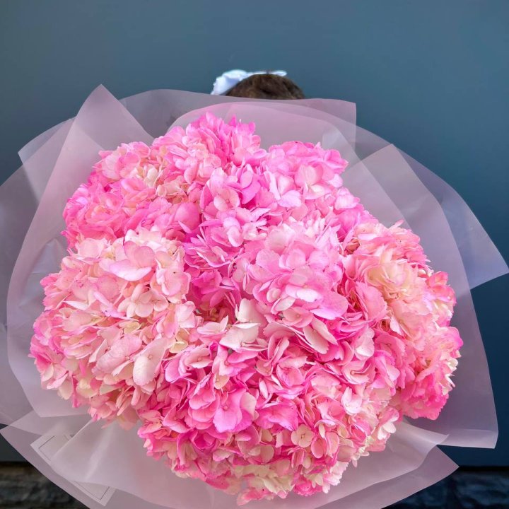 9 ярко розовых гортензий в Новокузнецке