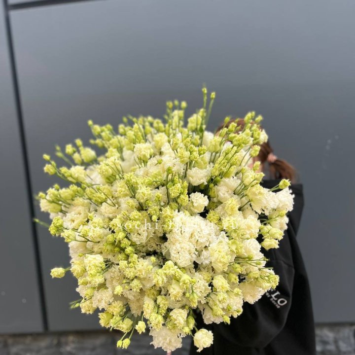 51 белая эустома в Новокузнецке