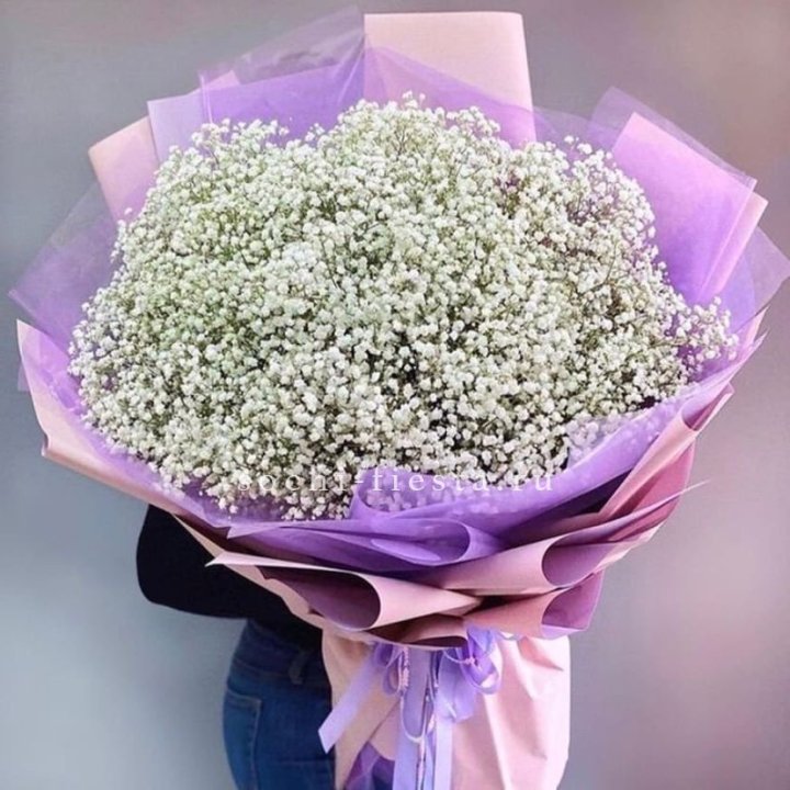 Облако белых гипсофил в Новокузнецке