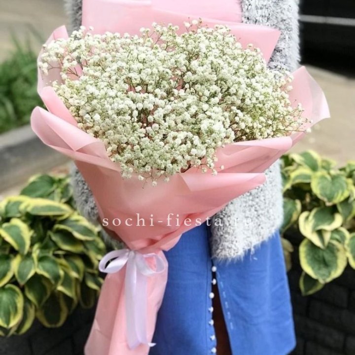 Белоснежные гипсофилы в Новокузнецке