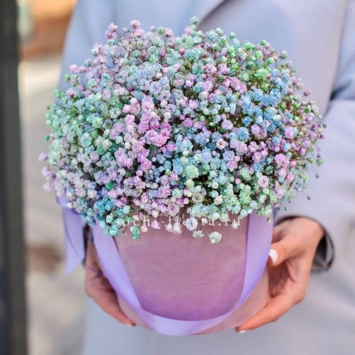 Гипсофилы в шляпной коробке "Кандилайт" в Новокузнецке