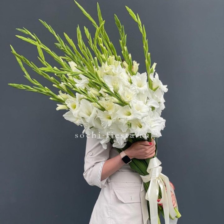 19 белых гладиолусов под ленту в Новокузнецке