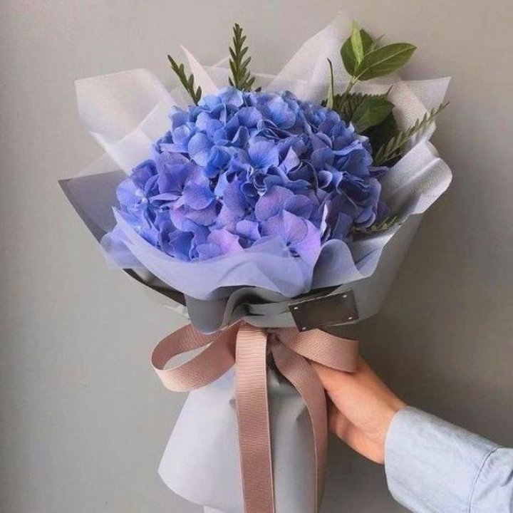 Гортензия голубая в Новокузнецке