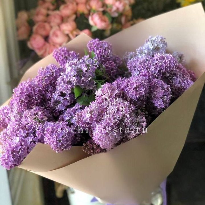 Букет сирени №2 в Новокузнецке