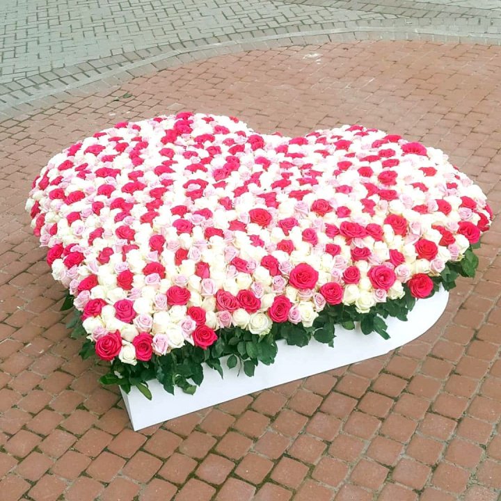 555 роза  в Новокузнецке