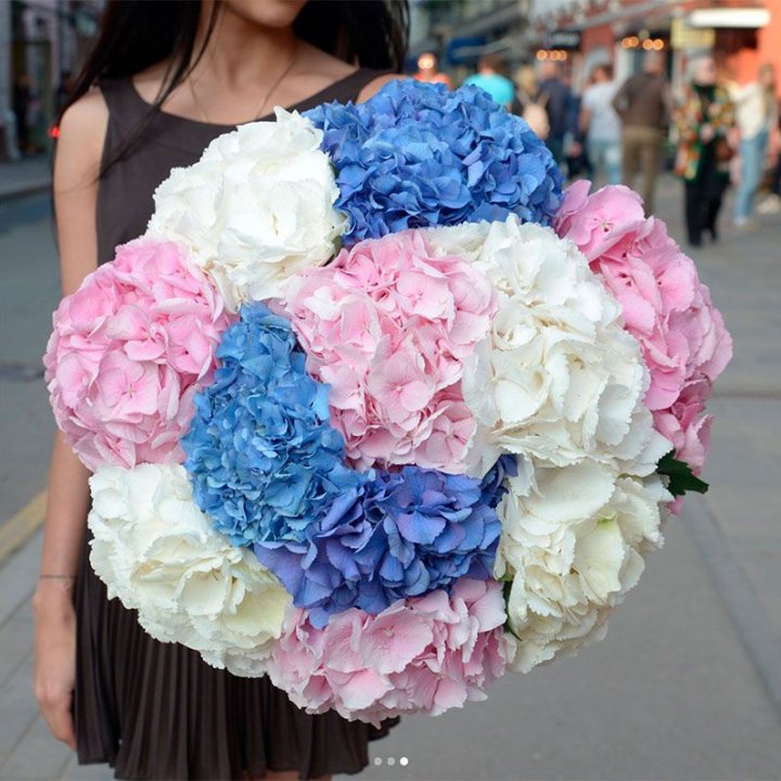 Букет гортензий "Инь-Янь" в Новокузнецке