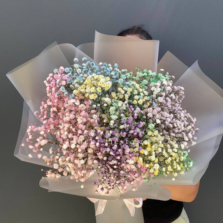 Радужные гипсофилы  в Новокузнецке