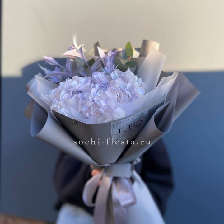 Гортензия "Виолета" в Новокузнецке