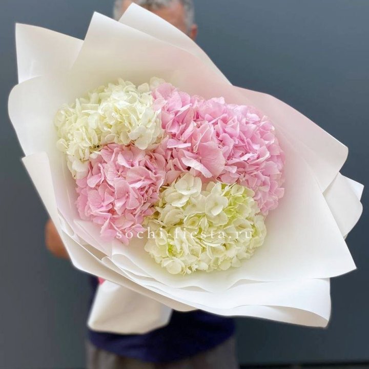 Букет гортензий №5 в Новокузнецке