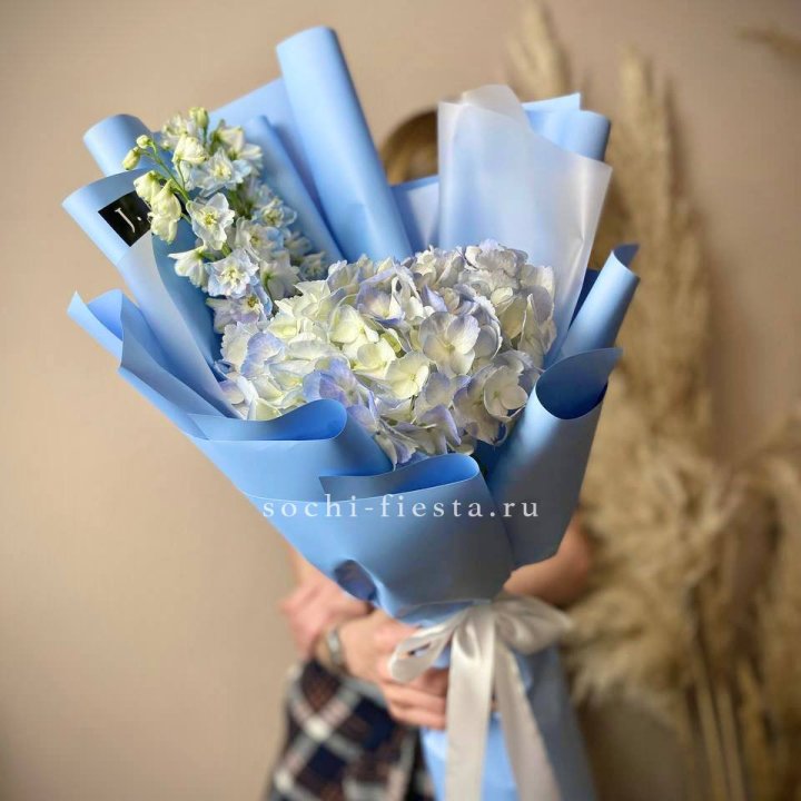 Гортензия "Блю скай" в Новокузнецке
