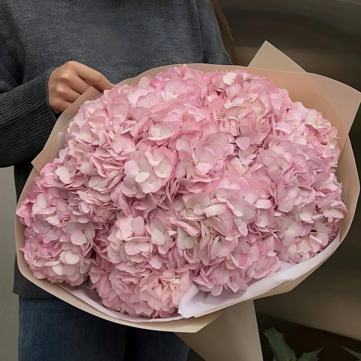 Гортензия  "РОЗЕ" в Новокузнецке