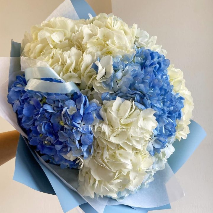 Букет гортензий "Голубая лаза" в Новокузнецке