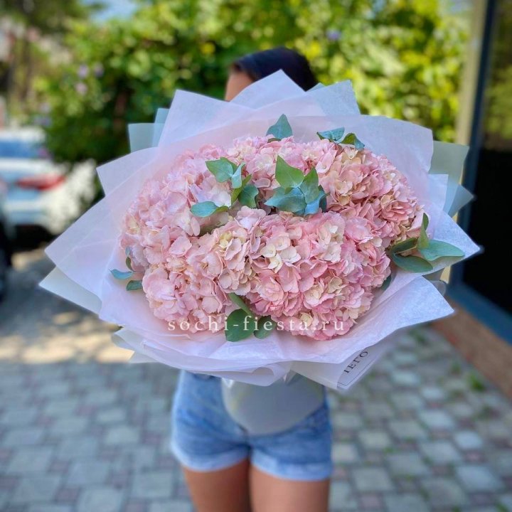 5 розовых гортензий  в Новокузнецке
