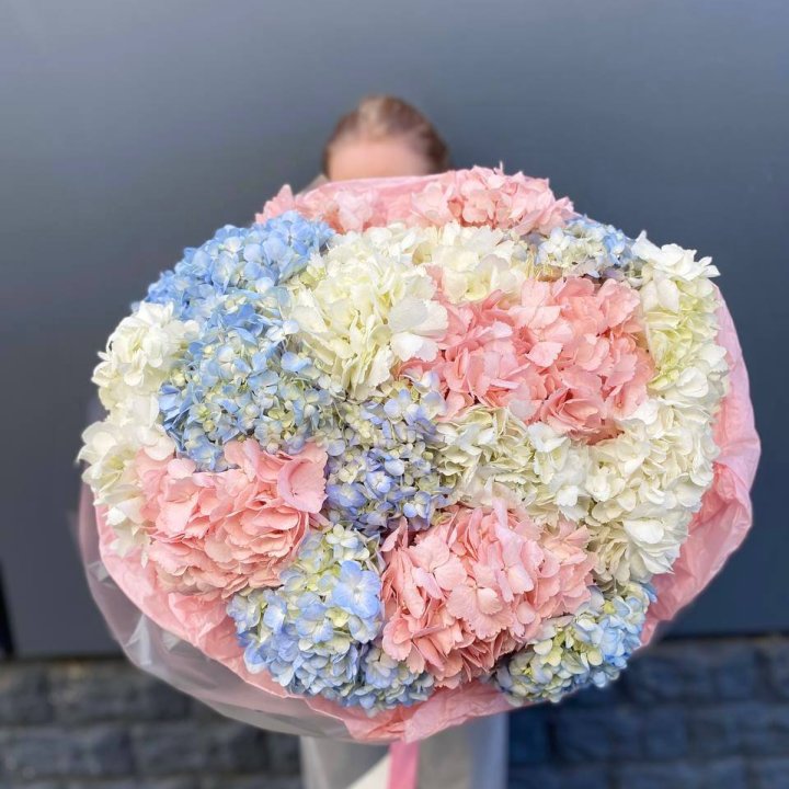 19 гортензий микс в Новокузнецке