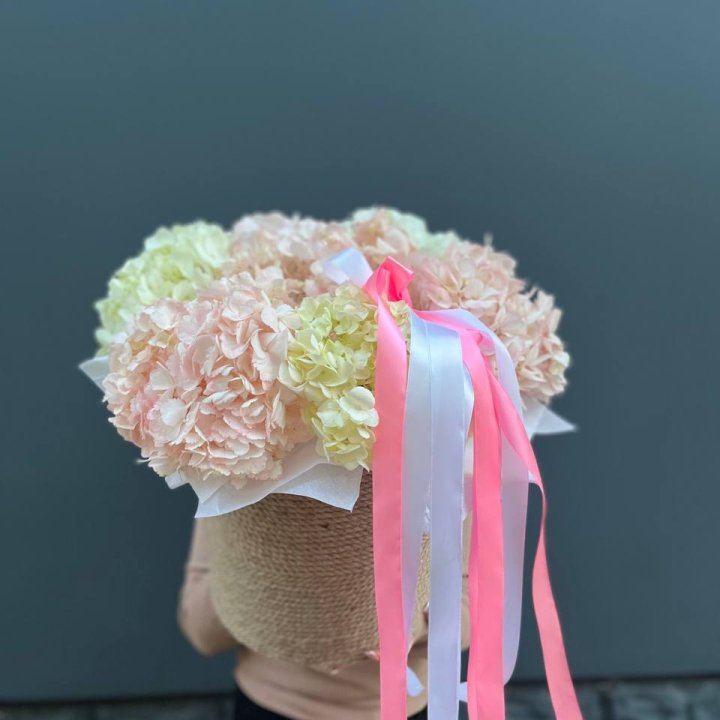 7 гортензий в кашпо в Новокузнецке