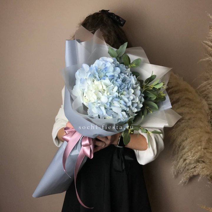 Гортензия Уно в Новокузнецке