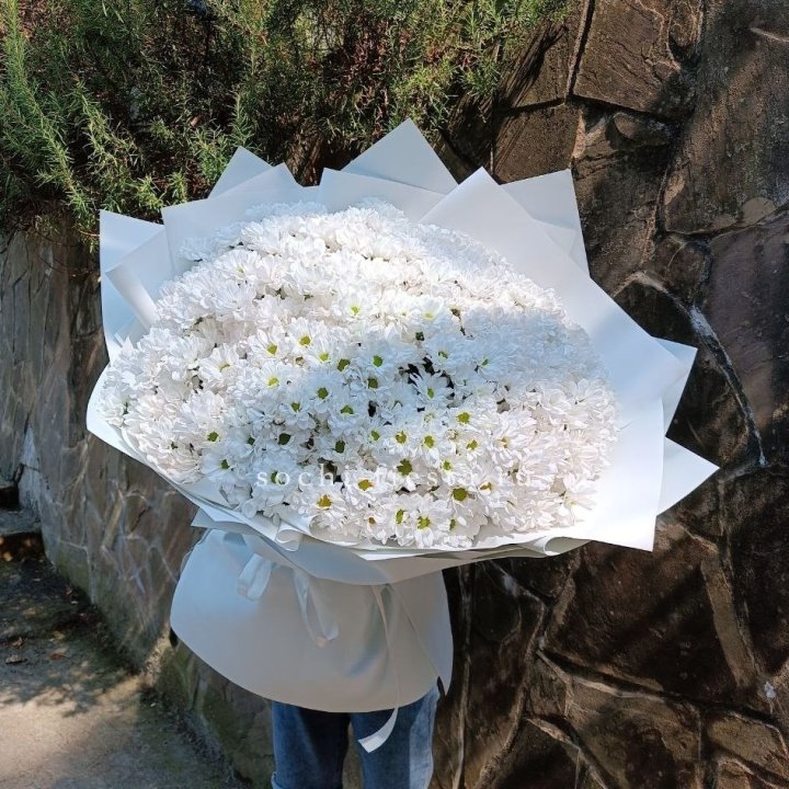 Облако хризантем №2 в Новокузнецке