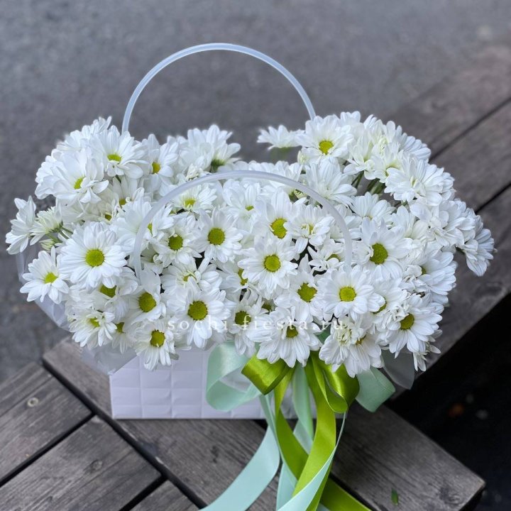 Сумка с хризантемами ромашками в Новокузнецке