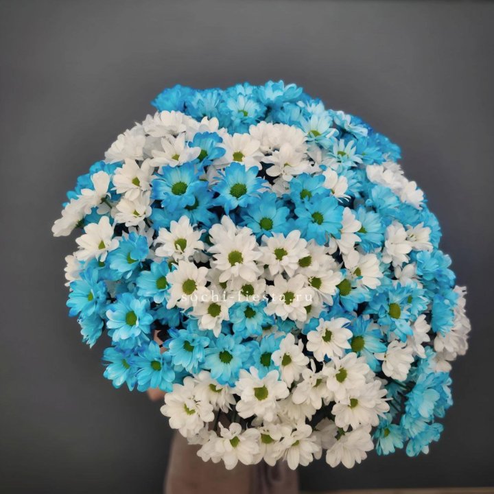  Букет хризантем микс в Новокузнецке