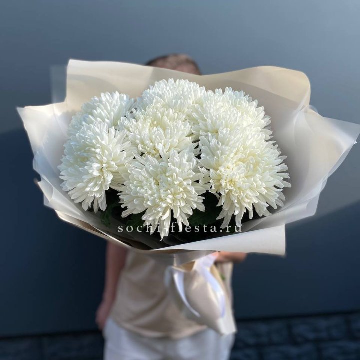 Профитроли в Новокузнецке