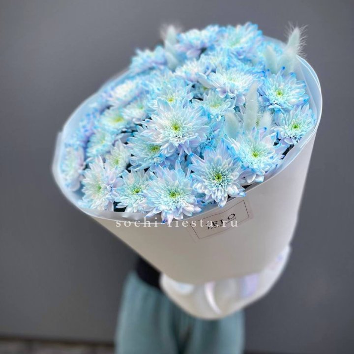  Букет нежно-голубых хризантем  в Новокузнецке