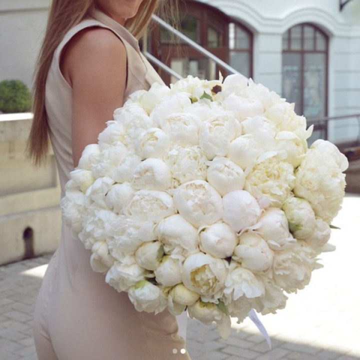 51 белый пион в Новокузнецке