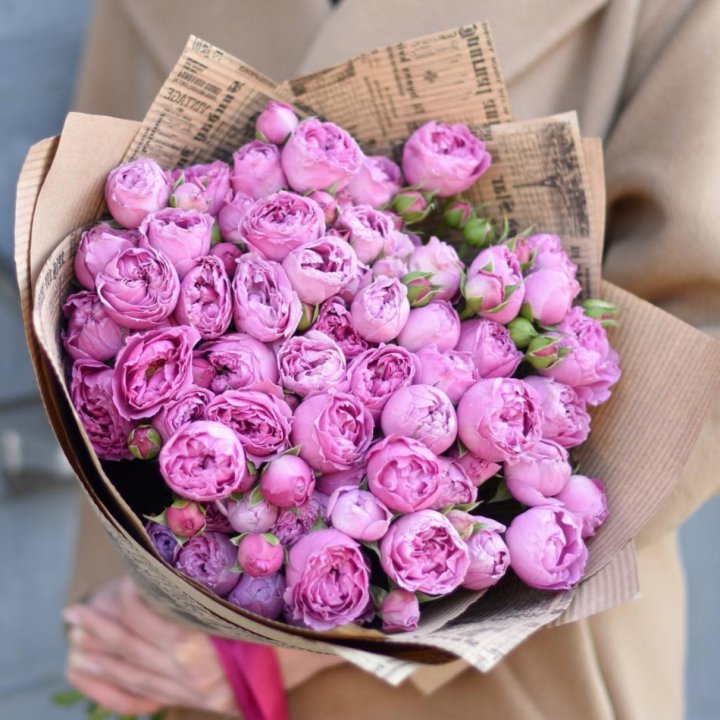 Роза Мисти Баблс в Новокузнецке