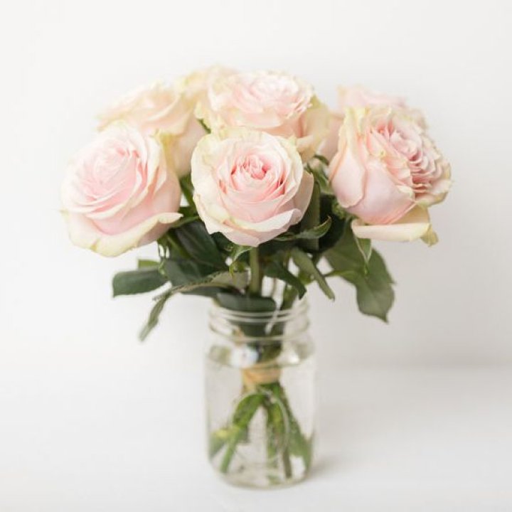 7 кремовых роз в Новокузнецке