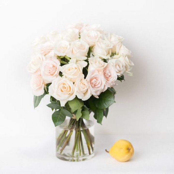 25 кремовых роз в Новокузнецке