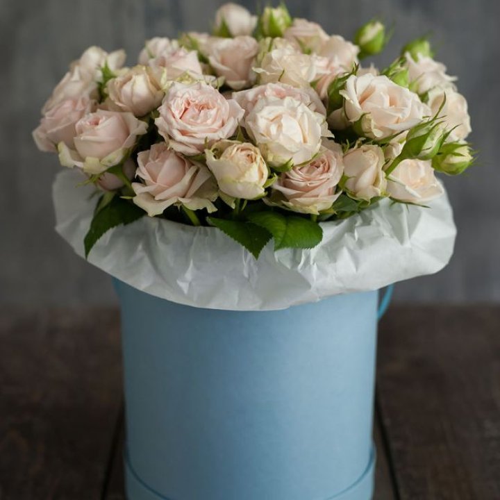 Бокс с бомбастиком в Новокузнецке