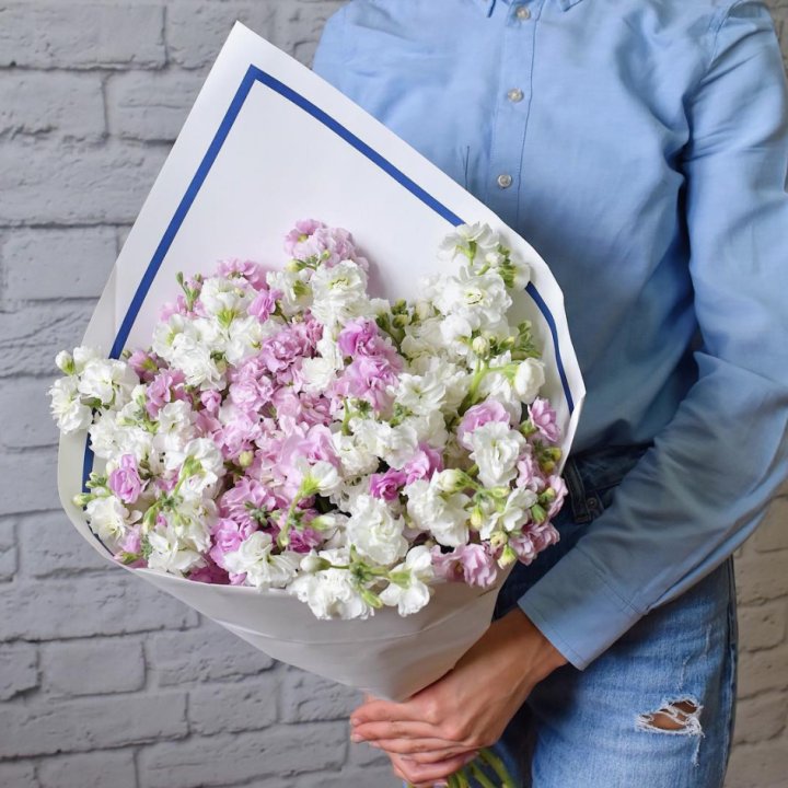 Маттиола в Новокузнецке