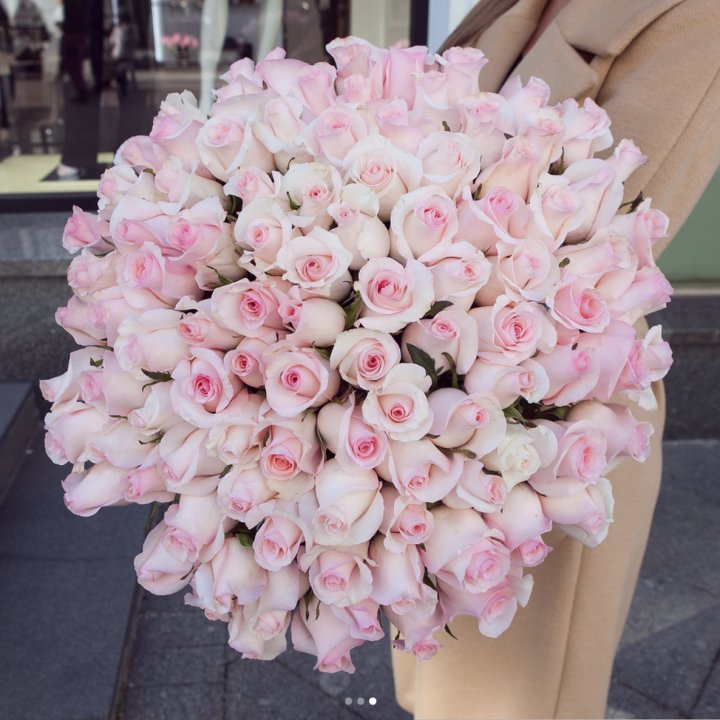 Розы "Пинк бум" в Новокузнецке