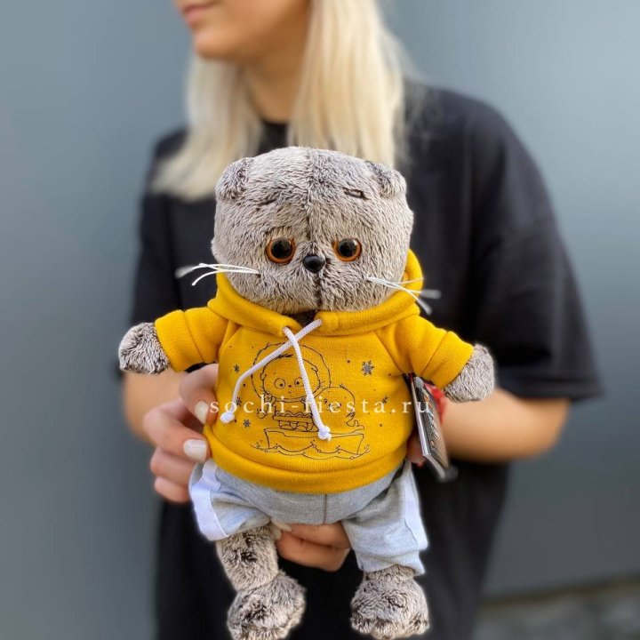 Кот Басик в худи в Новокузнецке