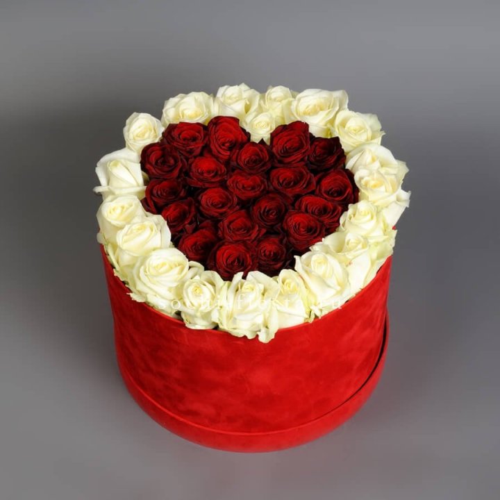 39 красных и белых роз в цилиндре в Новокузнецке