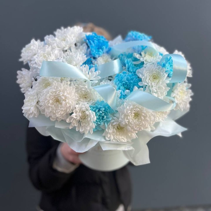 Хризнтемы в боксе в Новокузнецке