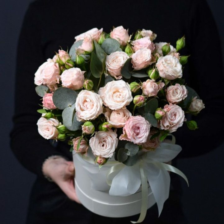 Бомбастик бокс №2 в Новокузнецке