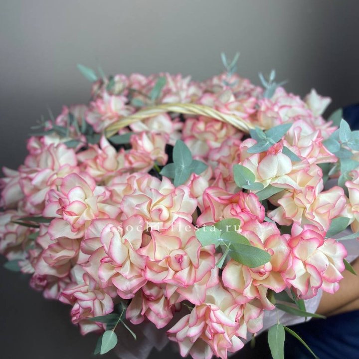 51 джумилия  в корзине   в Новокузнецке