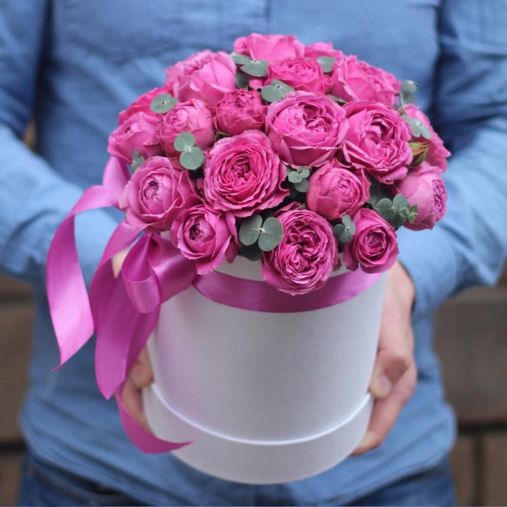 Бокс мисти баблс в Новокузнецке