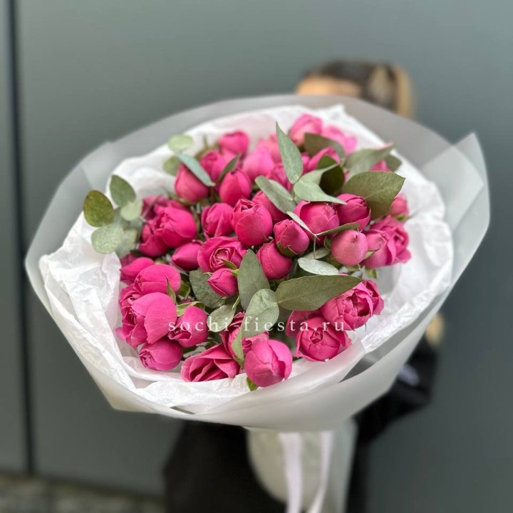 17 Мисти бабблс в Новокузнецке