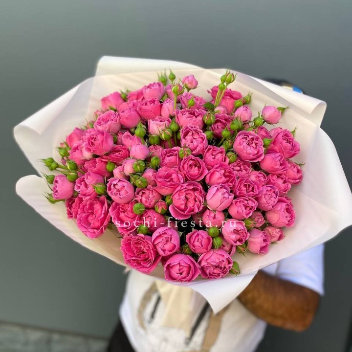 Мисти Баблс 35шт в Новокузнецке