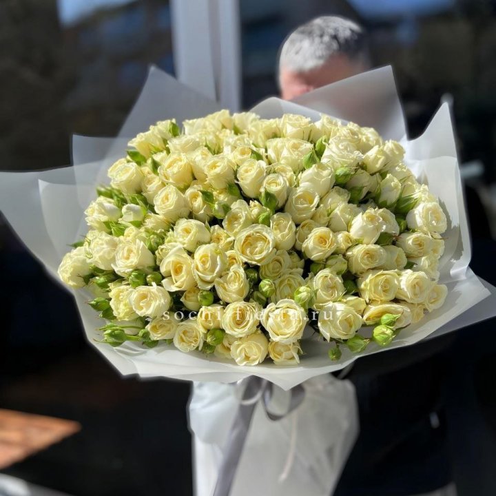 Белые кустовые розы 31 шт в Новокузнецке