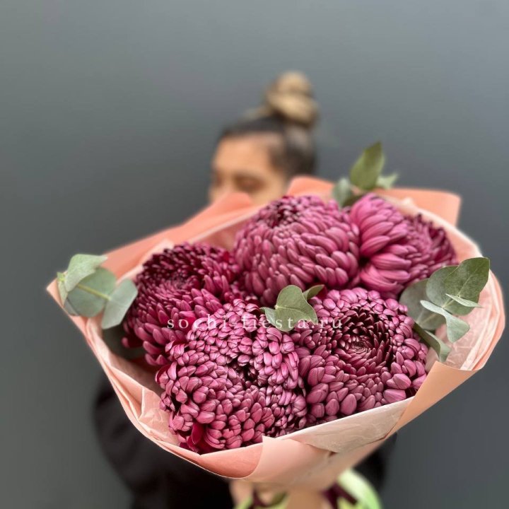 Хризантемы  Бигуди  в Новокузнецке