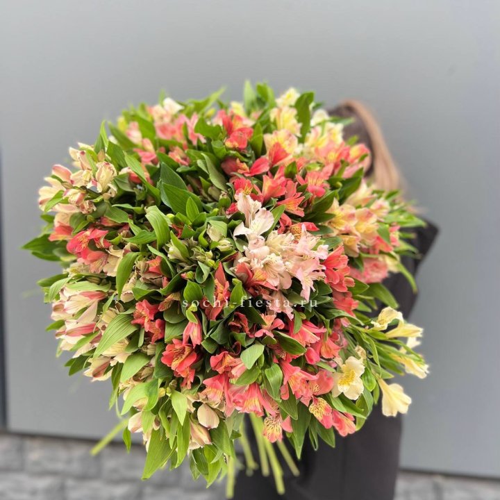 51 альстромерия в Новокузнецке